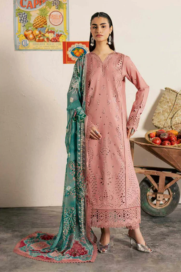 Nureh - Bazar Embroidered Schiffli Lawn Collection Vol 2 - NE-252 - Unstitched